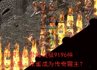 ��μ�Ԧ�Ƿ��켫9196��ʥ�ޡ���ȸ��Ϊ���������