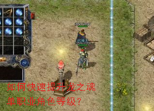 ��ο���������֮�굥ְҵ��ɫ�ȼ���