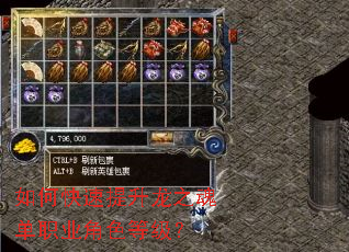 ��ο���������֮�굥ְҵ��ɫ�ȼ���