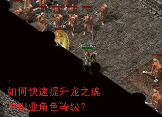 ��ο���������֮�굥ְҵ��ɫ�ȼ���