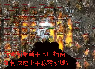 �����·���������ָ�ϣ���ο������ֳư�ɳ�ǣ�