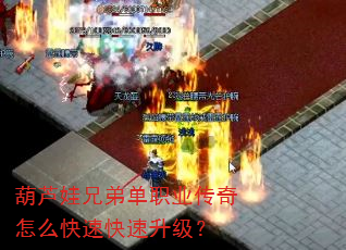 ��«���ֵܵ�ְҵ������ô���ٿ���������