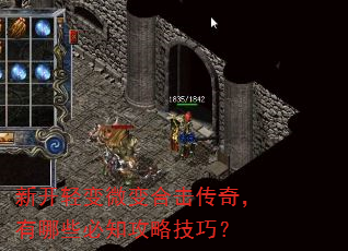 �¿����΢��ϻ����棬����Щ��֪���Լ��ɣ�