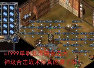sf999��ְҵӢ�ۺϻ����񼶺ϻ�ս������Ķ�����