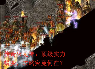��������񣺶���ʵ���ɱ䣬���Ծ������ڣ�