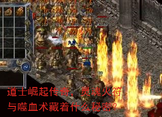 ��ʿ�����棬���������Ѫ������ʲô���ܣ�