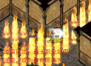 �����淨����ʿְҵ�����Ϯ����Ϊ���������