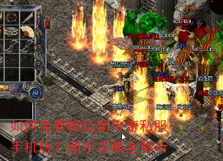 如何免费畅玩新传奇私服手机版?新手攻略全解析 如何免费畅玩新传奇私服手机版?新手攻略全解析