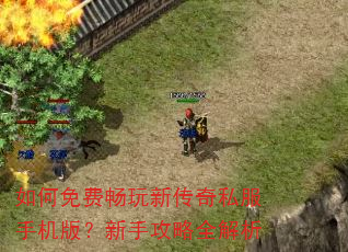 如何免费畅玩新传奇私服手机版?新手攻略全解析 如何免费畅玩新传奇私服手机版?新手攻略全解析