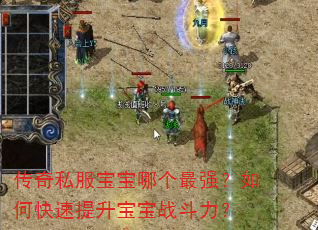 传奇私服宝宝哪个最强?如何快速提升宝宝战斗力? 传奇私服宝宝哪个最强?如何快速提升宝宝战斗力?