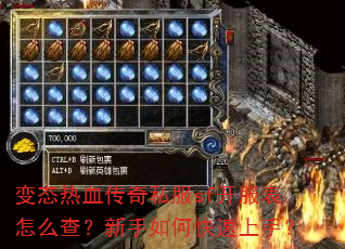 ��̬��Ѫ����˽��sf��������ô�飿������ο������֣�