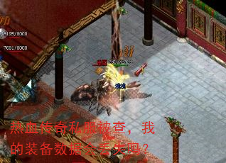 ��Ѫ����˽�����飬�ҵ�װ�����ݻᶪʧ��