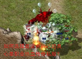 如何选择最适合自己的良心单职业热血传奇私服? 如何选择最适合自己的良心单职业热血传奇私服?