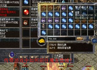传奇游戏中如何前往魔龙雪域? 传奇游戏中如何前往魔龙雪域?