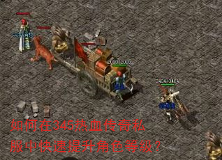 如何在345热血传奇私服中快速提升角色等级? 如何在345热血传奇私服中快速提升角色等级?