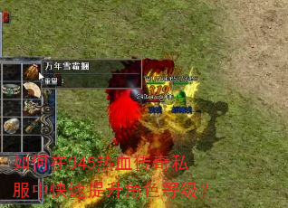 如何在345热血传奇私服中快速提升角色等级? 如何在345热血传奇私服中快速提升角色等级?