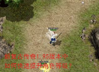 新复古传奇1.95版本中如何快速提升角色等级? 新复古传奇1.95版本中如何快速提升角色等级?