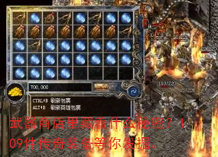 武器商店里藏着什么秘密?109件传奇装备等你发掘。 武器商店里藏着什么秘密?109件传奇装备等你发掘。