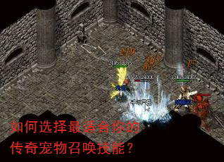如何选择最适合你的传奇宠物召唤技能? 如何选择最适合你的传奇宠物召唤技能?