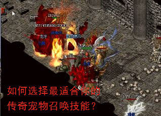 如何选择最适合你的传奇宠物召唤技能? 如何选择最适合你的传奇宠物召唤技能?