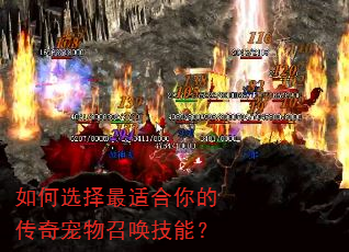 如何选择最适合你的传奇宠物召唤技能? 如何选择最适合你的传奇宠物召唤技能?