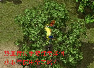 热血传奇手游红毒如何获取与使用全攻略? 热血传奇手游红毒如何获取与使用全攻略?