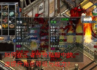 如何在王者传奇私服中快速提升角色等级与战力? 如何在王者传奇私服中快速提升角色等级与战力?