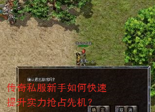 传奇私服新手如何快速提升实力抢占先机? 传奇私服新手如何快速提升实力抢占先机?