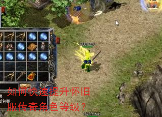 如何快速提升怀旧服传奇角色等级? 如何快速提升怀旧服传奇角色等级?