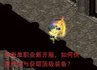 ���浥ְҵ�¿�������ο����������ȡ����װ����