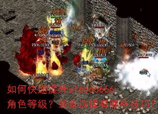 ��ο�������sf6666666��ɫ�ȼ���װ��ѡ������Щ���ɣ�