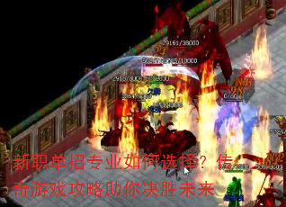 新职单招专业如何选择?传奇游戏攻略助你决胜未来 新职单招专业如何选择?传奇游戏攻略助你决胜未来