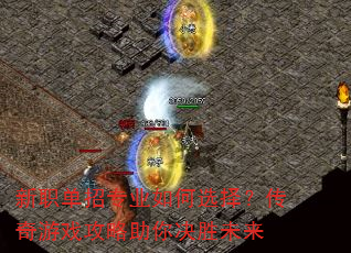 新职单招专业如何选择?传奇游戏攻略助你决胜未来 新职单招专业如何选择?传奇游戏攻略助你决胜未来