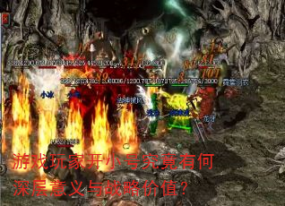 游戏玩家开小号究竟有何深层意义与战略价值? 游戏玩家开小号究竟有何深层意义与战略价值?