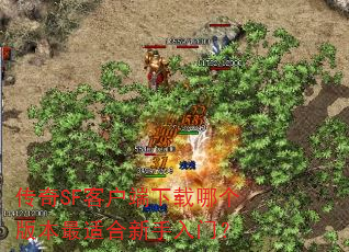 ����SF�ͻ��������ĸ��汾���ʺ��������ţ�