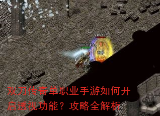 ˫�����浥ְҵ������ο���͸�ӹ��ܣ�����ȫ����