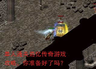 ����ͨ��׷�䴫����Ϸ���ԣ���׼��������